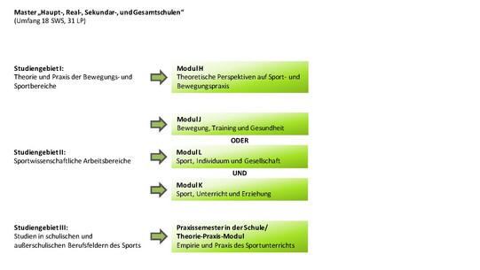 Modulübersicht für den Master im Lehramt Haup-, Real-, Sekundar- und Gesamtschule LABG 2016