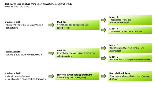 Übersicht über die Module im Bachelor "Lehramt an Grundschulen" mit Sport als vertieftes Unterrichtsfach