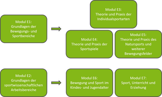 Modulübersicht Wahlpflichtfach Sport im Studiengang Bachelor of Arts Erziehungswissenschaft