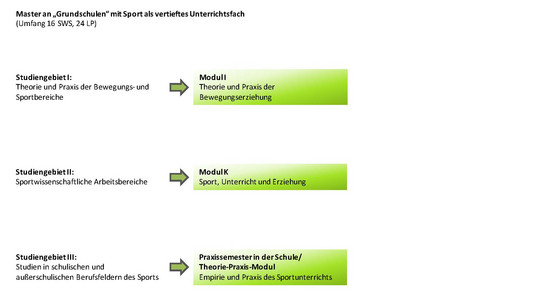 Übersicht über die Module im Master "Lehramt an Grundschulen" mit Sport als vertieftes Unterrichtsfach
