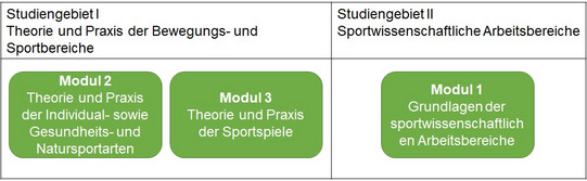 Übersicht Bachelor "Statistik" - Nebenfach Sport