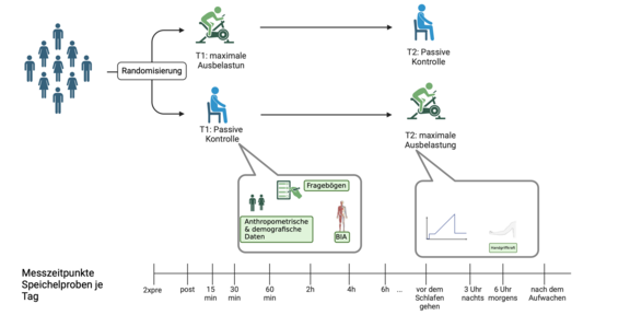 Grafik zur Messung Grafik zur Messung