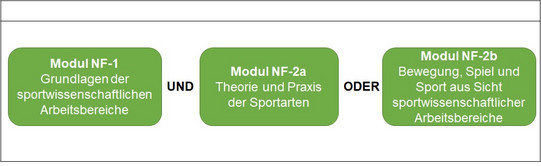 Übersicht Bachelor "Statistik" - Nebenfach Sport
