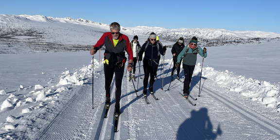 Exkursionsleitung und Studierende beim Skilanglauf