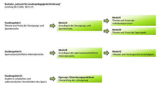 Modulüberblick im Bachelor für das Lehramt "sonderpädagogische Förderung"  im LABG 2016