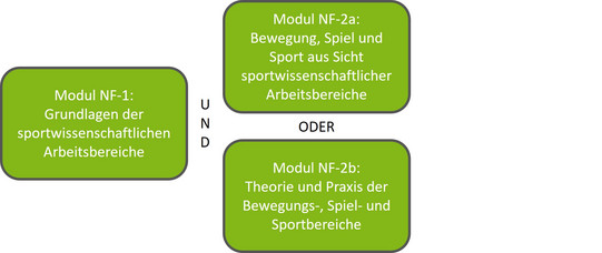 Modulübersicht Spor“ als Komplementfach im Bachelorstudiengang Soziologie