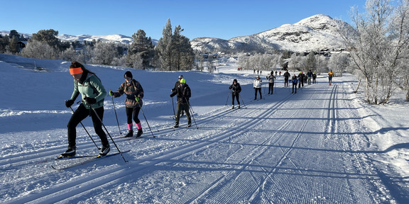 Studierende beim Skilanglauf