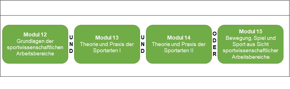Bachelor "Journalistik" - Komplementfach Sport