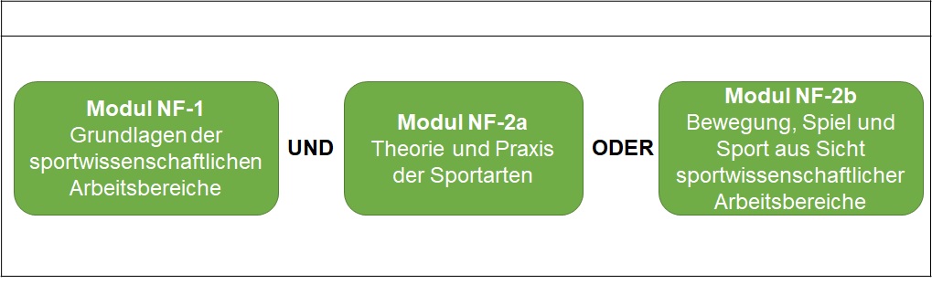 Bachelor "Statistik" - Nebenfach Sport