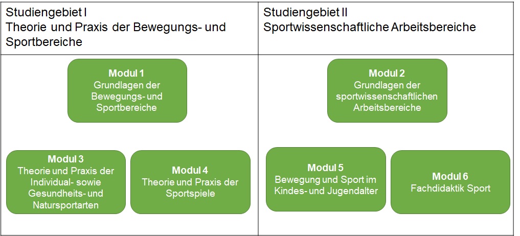 Bachelor "Angewandte Sprach-, Literatur- und Kulturwissenschaften": Sport als Komplementfach